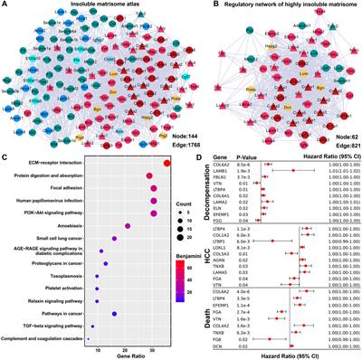 Atlas of mildly and highly insoluble matrisome driving liver fibrosis